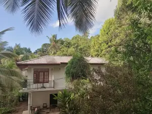 Jungle Village Homestay