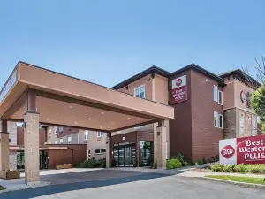 Best Western Plus Bathurst Hotel  Suites