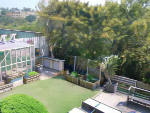 Sea Dreams Guesthouse