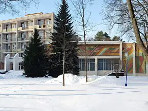 Zhmz Lesnoj Dvorik Sanatorium