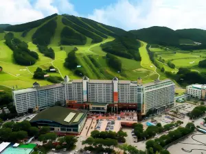 Wellihilli Park Resort