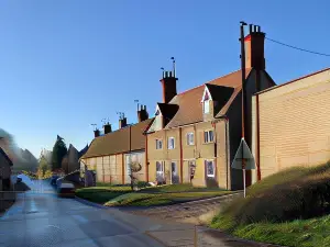 Cowpers Oak
