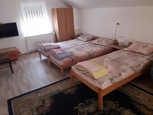 Guest House Vila Banjica