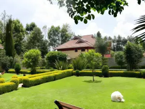 Lux Suites Elgon View Holiday House