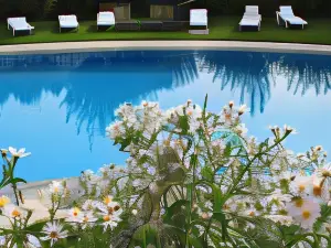 Quinta Do Crestelo Aparthotel