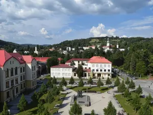 Hotel Vsacan