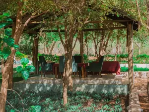 Mkomazi Hotels and Campsite