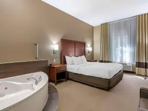 Comfort Inn & Suites St Louis-O'Fallon