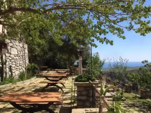 B & B Stillachiara