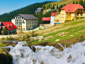 Montis Hotel & Spa