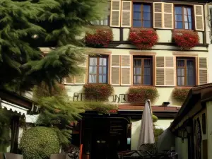 Hostellerie le Marechal Colmar