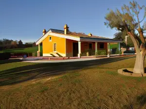 B&B Agrifoglio