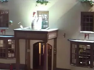 The Swan
