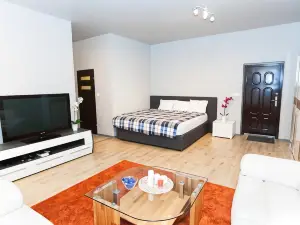 Studio Apartament Centrum Katowice