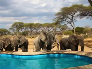 大象旅館