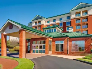 Hilton Garden Inn Hartford North/Bradley Int'l Airport