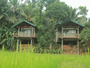 Rainforest Nest