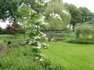 B&B 't Hekkert