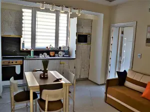 Spacious and Luxurious Guest Apartment Balkan