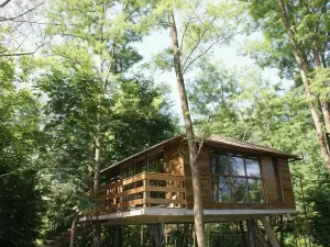 Porumbacu Treehouse
