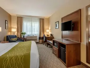 Comfort Inn Ellsworth - Bar Harbor