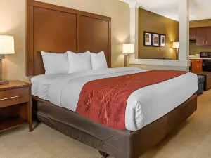 Comfort Inn & Suites Amish Country