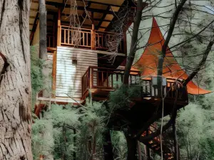 TreeHouses Ljubač Glamping Robinson