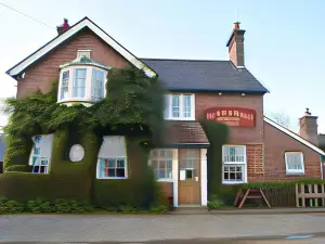 The Oak at Dewlish