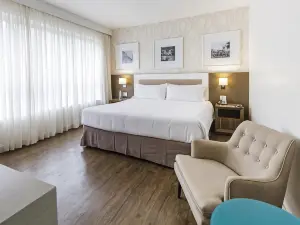 Holiday Inn Belo Horizonte Savassi