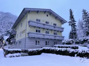 AH Carinthia Mallnitz - Carinthia Appartements