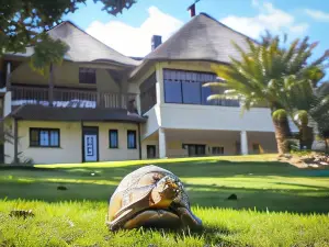 Winelands Villa Guesthouse and Cottages