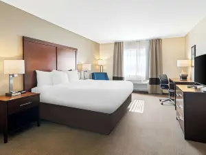 Comfort Inn Hebron-Lowell Area
