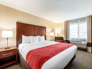 Comfort Inn Onalaska - la Crosse Area
