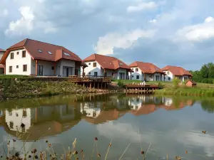 Świętokrzyska Polana - Medical Resort