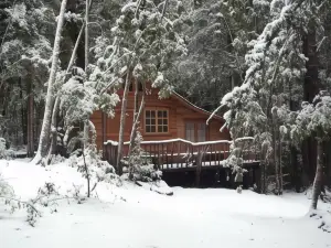 Cabaña Rustica Patagonia Chilena