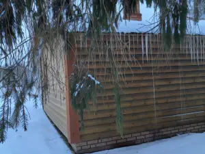 Usadba Zaprudnevo (Усадьба Запруднево)