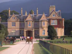 Ardree House B&B