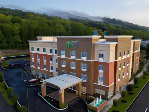 Holiday Inn Express & Suites Ithaca