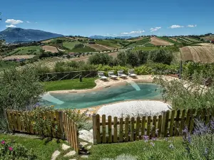Agriturismo Emidio Pepe