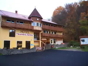 Vila Transilvania