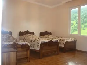 Guest House Tavaduri