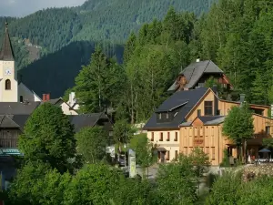 Hotel Fahrnberger