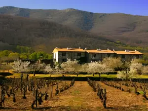 Apartamentos Rurales El Canchal de la Gallina - Jacuzzi en Privado - Parking Gratuito