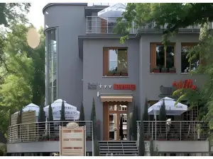 Hotel Szara Willa