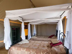 塞倫蓋提野營飯店
