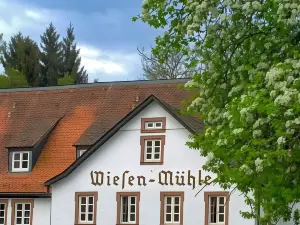 Hotel Brauhaus Wiesenmühle