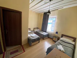 Villa Mestia Hotel