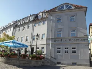 Am Rossplan