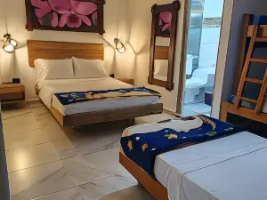 호텔 부티크 안세스트랄