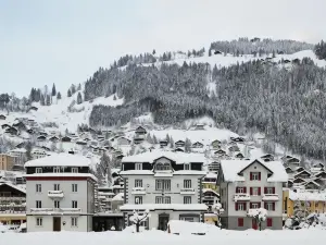 Ski Lodge Engelberg